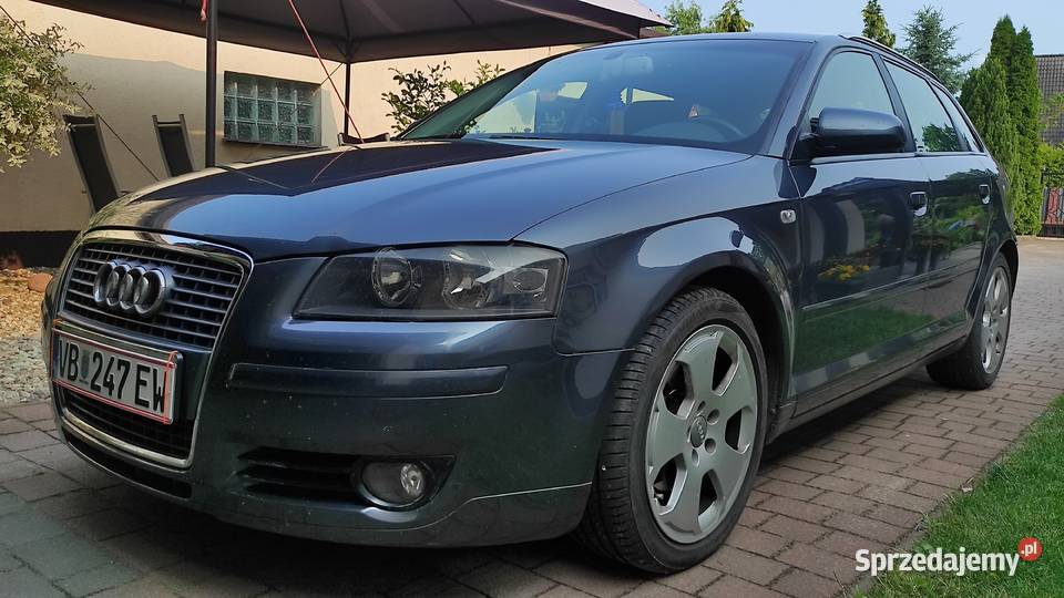Audi a3 8p 20TDI Małomice