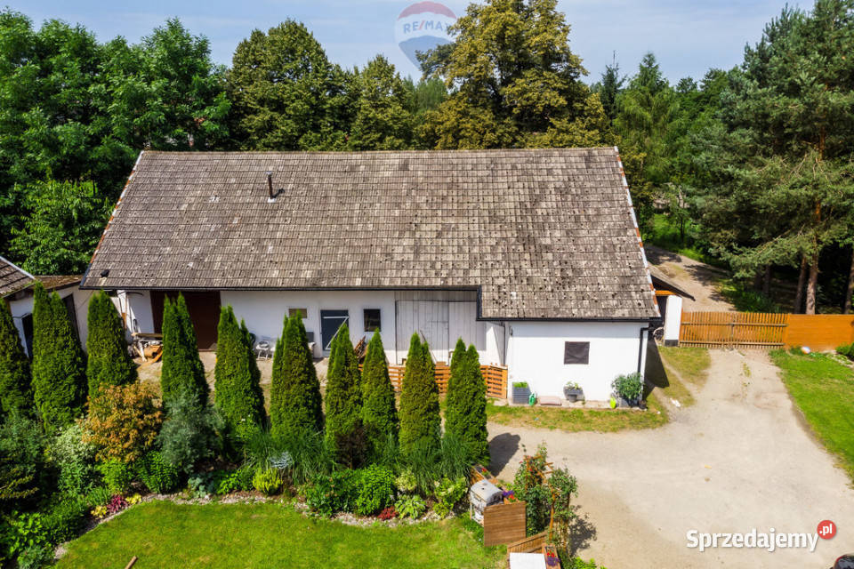 Dom siedlisko duża działka 8822m2 Grabie