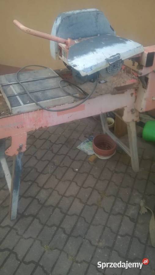 stul do ciencja kostki Pawłów