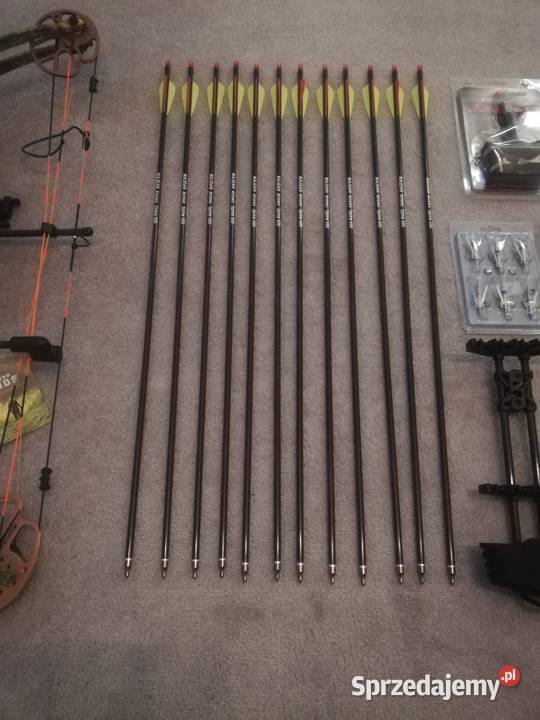 Łuk bloczkowy myśliwski Bear Cruzer PRO EDC USA Nowy Sącz