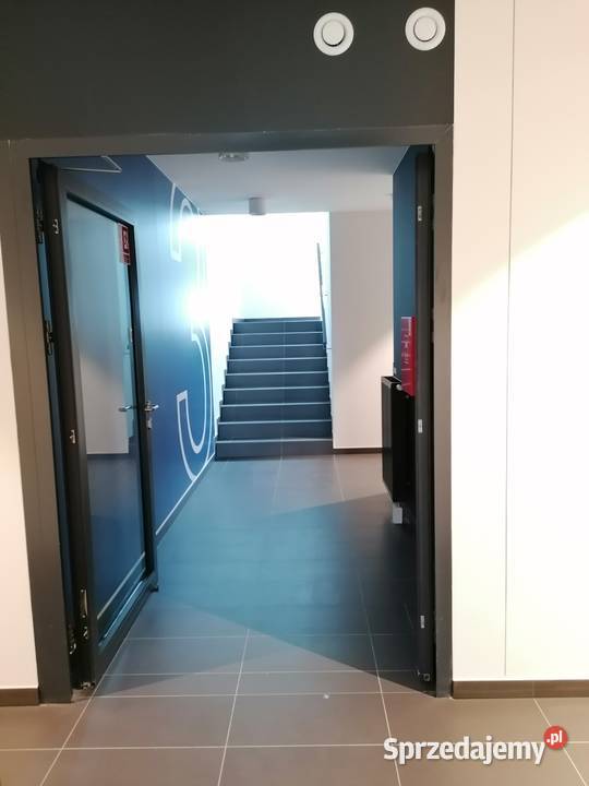 Wynajem mieszkanie bezpośrednio Warszawa