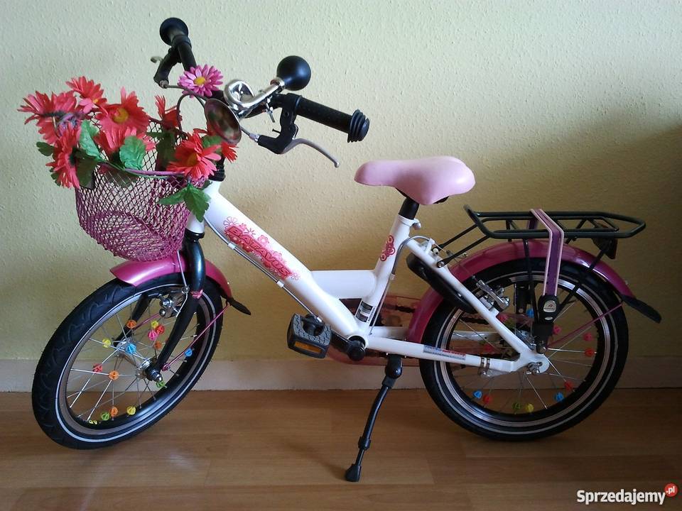 Batavus Koala Holenderski Rowerek Dzieciecy 16 Piotrkowiczki