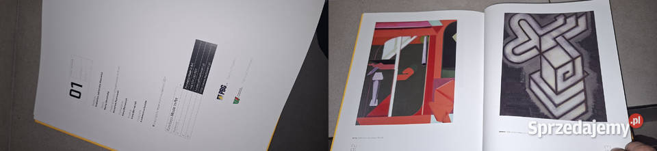 Visual Interview 01 Dictionary of Artists Poznań