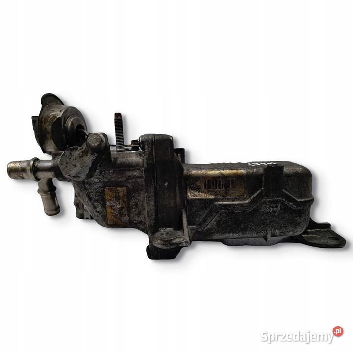 CHŁODNICA SPALIN Renault Master III Movano 23 Chełm