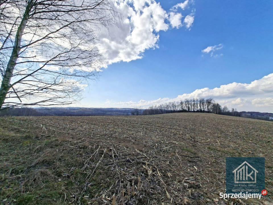 Działka 8100 metrów Bodzanów