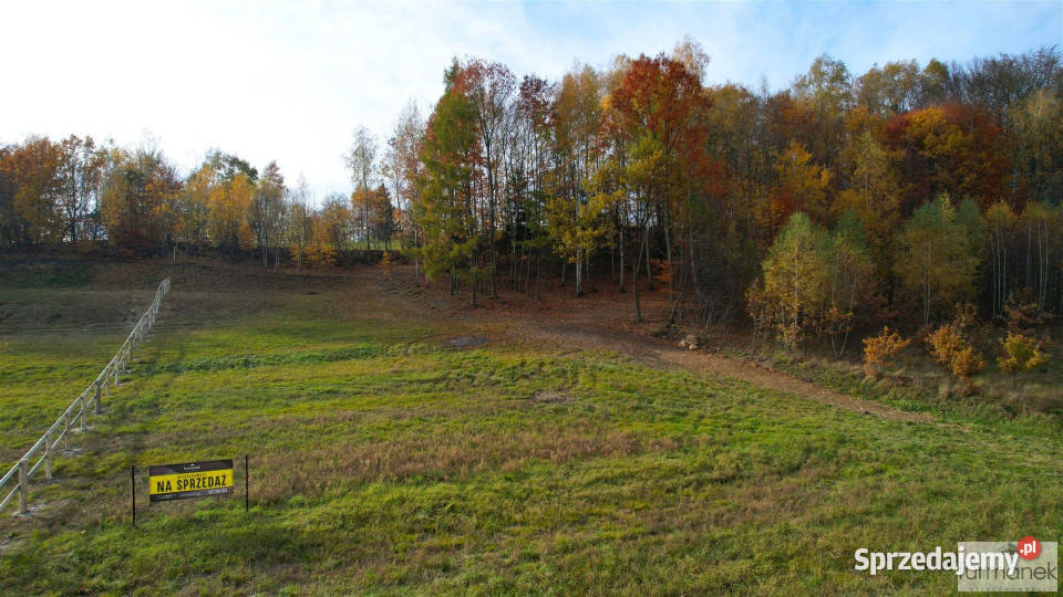 Działka 4182m2 TeodorówkaKolonia Teodorówka-Kolonia