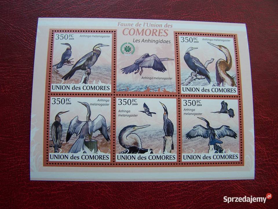 Komory 2009 MNH Fauna Ptaki Kormorany śląskie Tychy