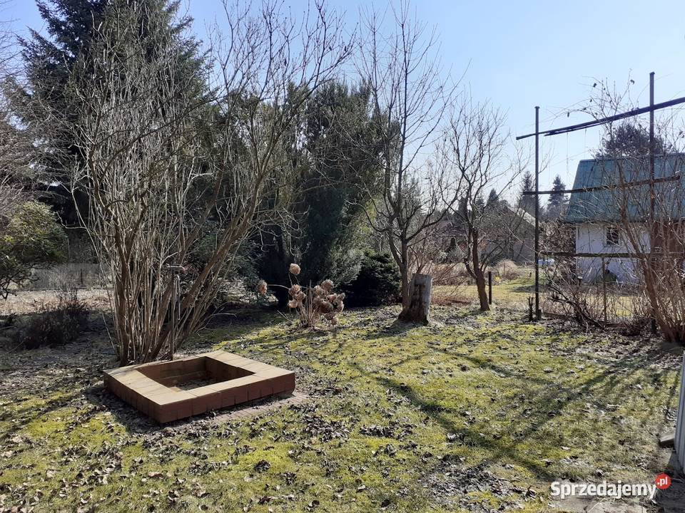 Działka ROD w Balicach 19.4m Kryspinów sprzedam