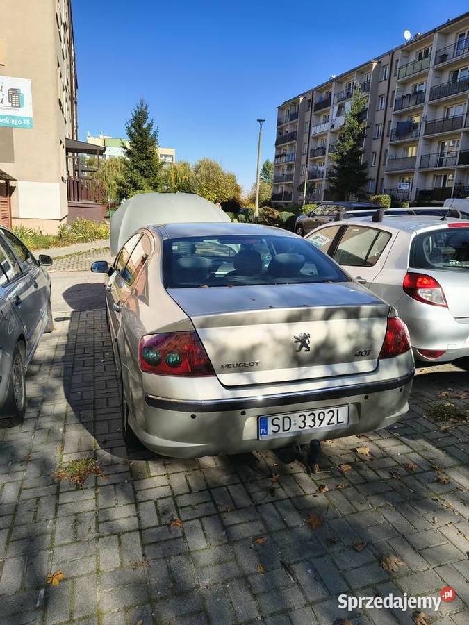 Peugeot 407