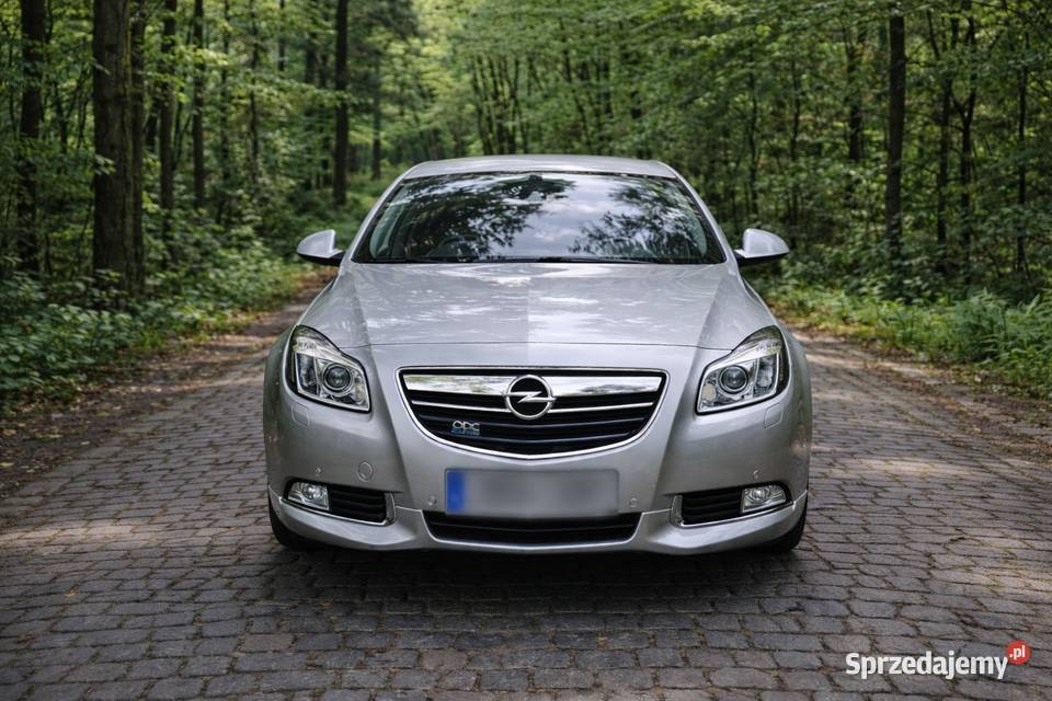 Opel Insignia A 20 CDTI 160 OPC Line dolnośląskie Zgorzelec sprzedam