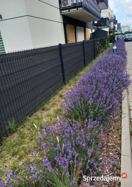 NOWE 2pokojowe mieszkanie o powierzchni ok 49 m 50m2 Sprzedaż