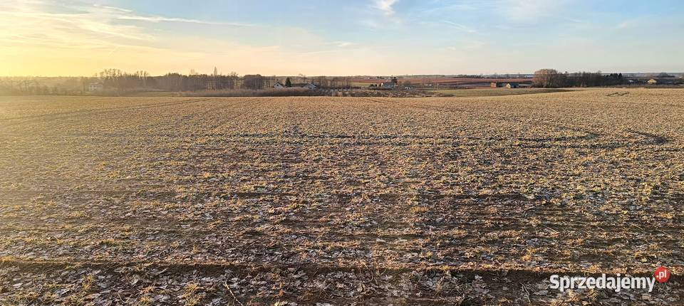 Działka budowlana 10arBrzezie gmBabiakwydane WZ Brzezie