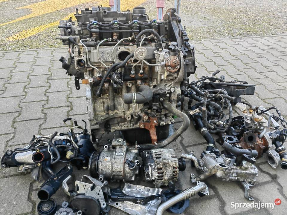 Silnik 16 tdci hdi dv6 zachodniopomorskie