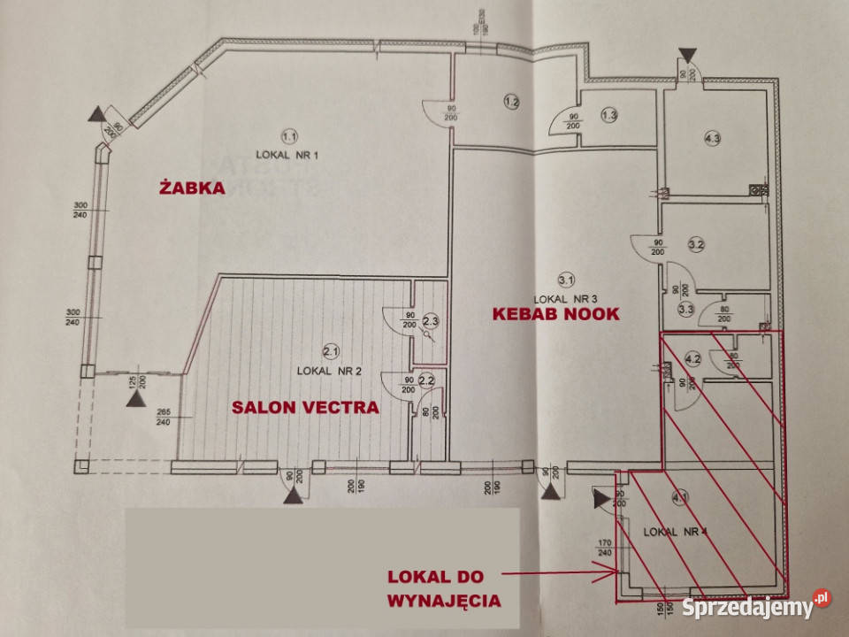 Lokal do wynajęcia obok BIEDRONKI ŻABKI ACTION Namysłów