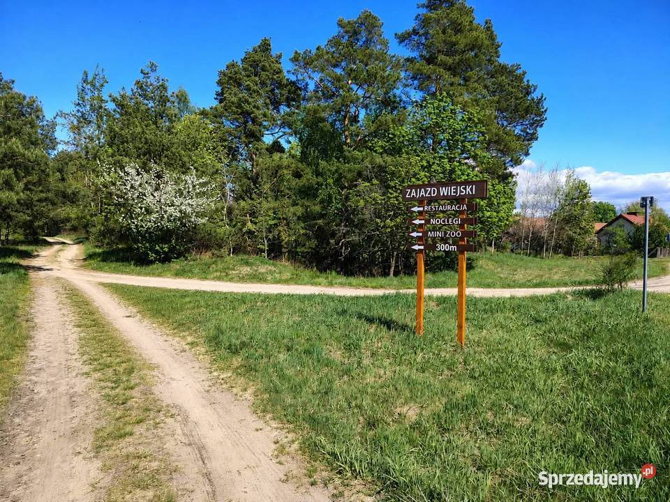 Dwie działki budowlane w Szczechach Wielkich sprzedam