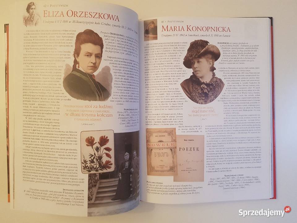 Ilustrowanyy leksykon piisarzy i poetów polskich Szczecin
