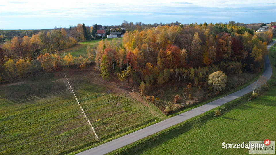 sprzedaży działki TeodorówkaKolonia 2644m2 prąd Nieruchomości