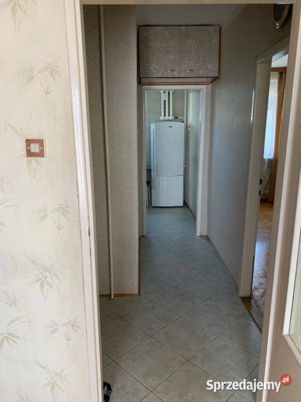 mieszkanie Zambrów Świętokrzyska 7 pow 4767 m2 5979zł/m2