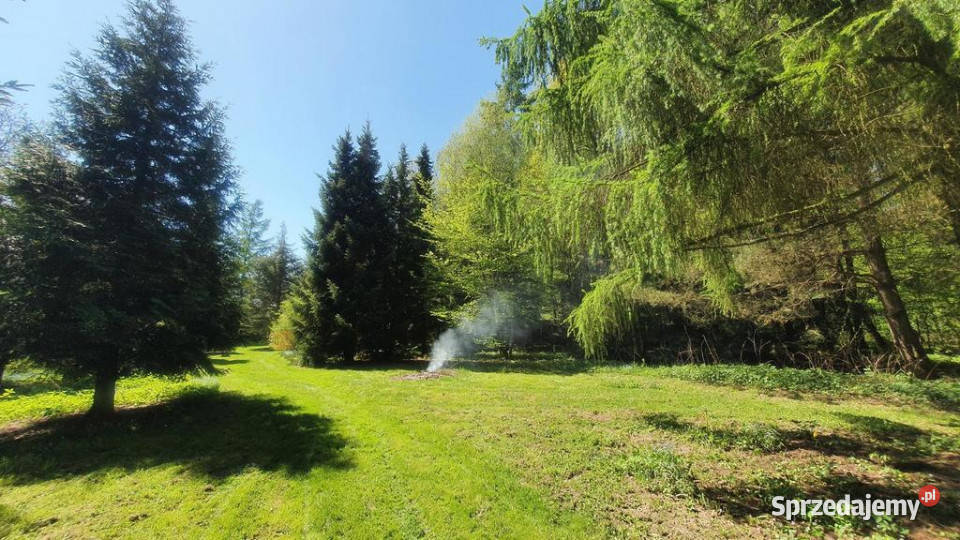 Grunt do sprzedania Zemborzyce Tereszyńskie lubelskie