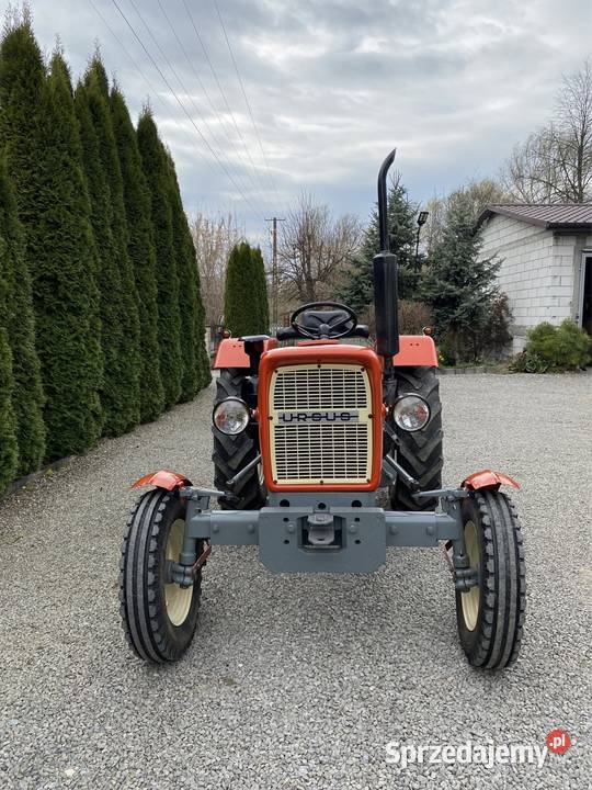 Ciągnik Ursus C330 C335 świętokrzyskie Sandomierz