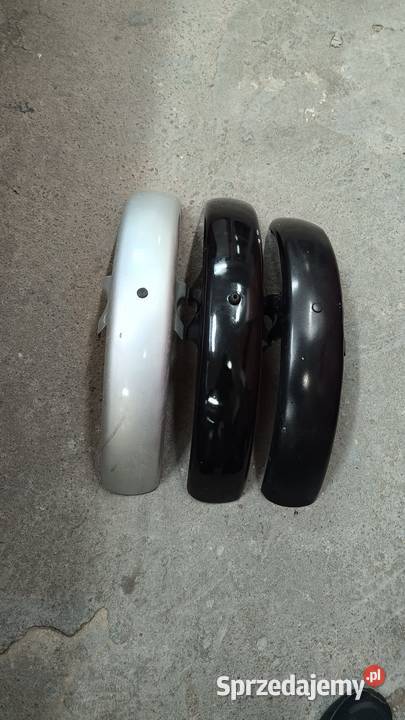 Błotniki Mz etz Łapy