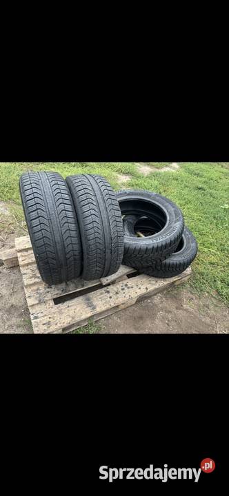 Opony 2055516 Pirelli Samochodowe Skierniewice
