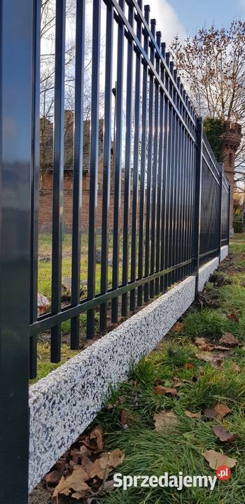 Brama skrzydłowa 500x150 PRINCE przęsła bramy Łódź