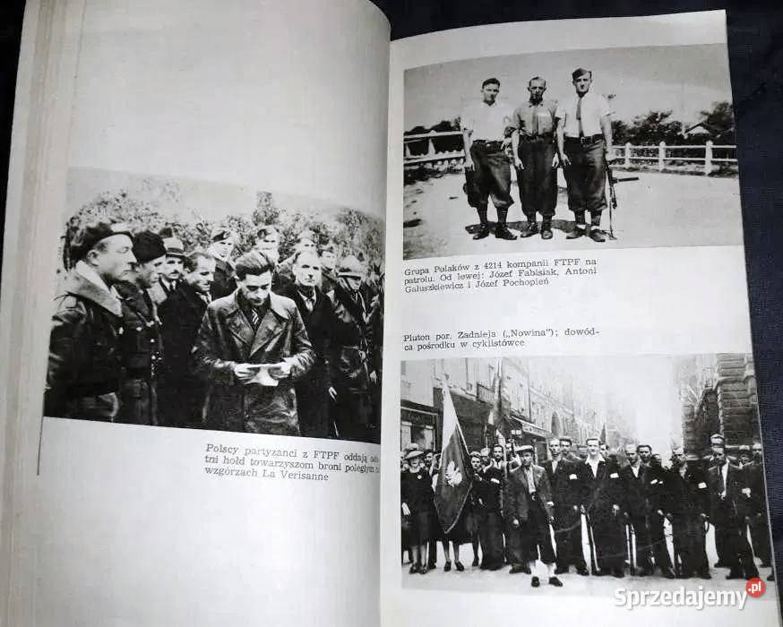 Polacy w europejskim ruchu oporu 19391945 M lubelskie Chełm