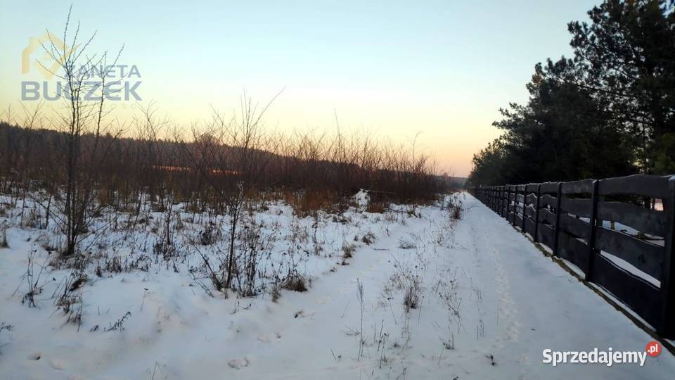 Sprzedam działkę inwestycyjną 482 ha w Brochowie Sprzedaż Brochów