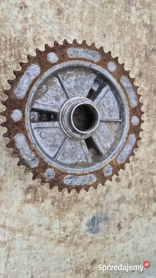 Etz zębatka Hryniewicze