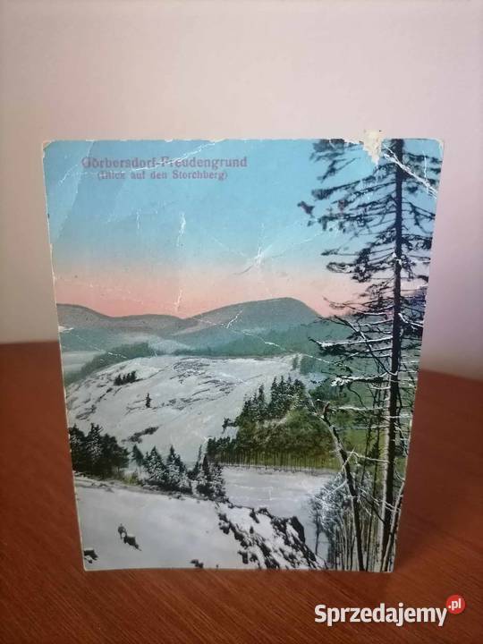 Gorbersdorf Sokołowsko Storchberg 1920 dolnośląskie