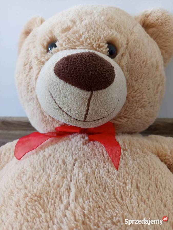 Duży pluszowy MIŚ Canpol Baby pomorskie sprzedam