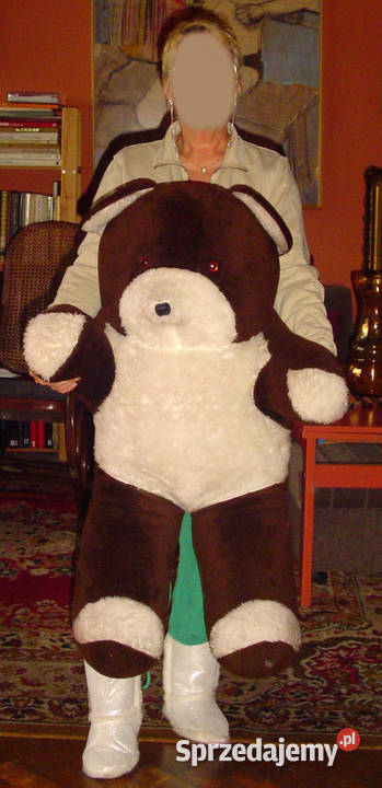 Piękny miś sprzedam