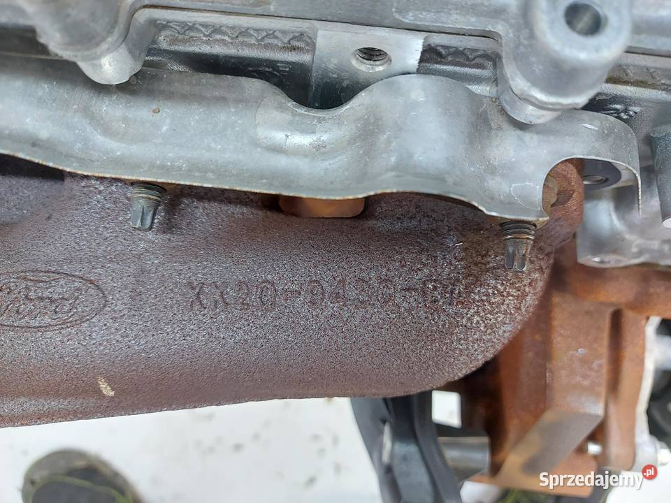 Transit Custom II 2024 silnik motor engine 20d