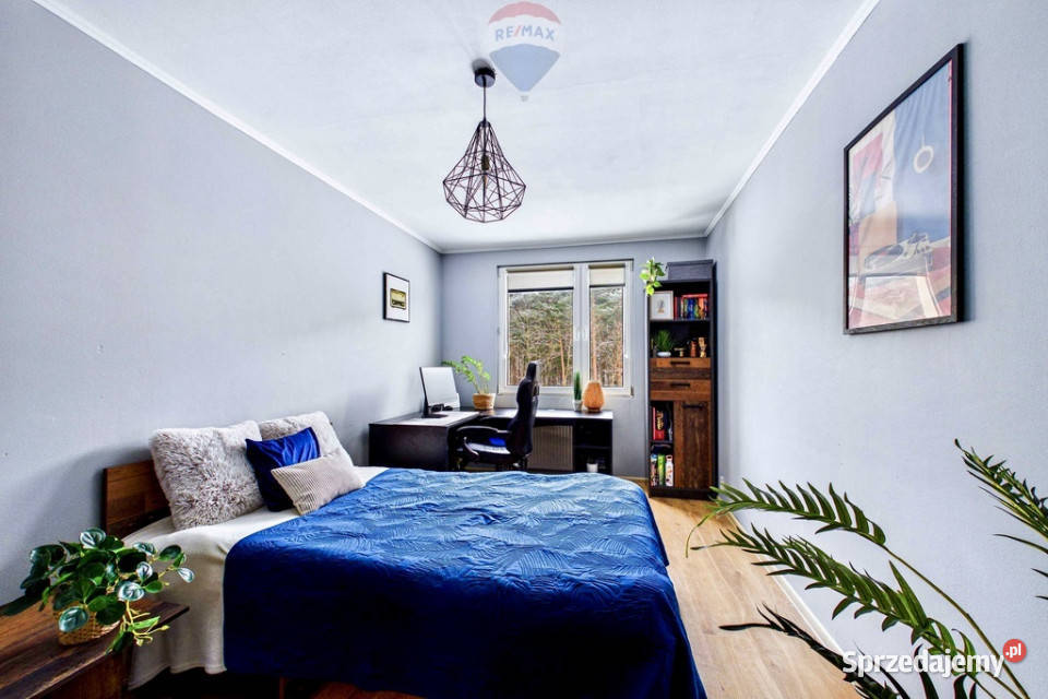 Na sprzedaż przestronne mieszkanie lesie Zielona Góra