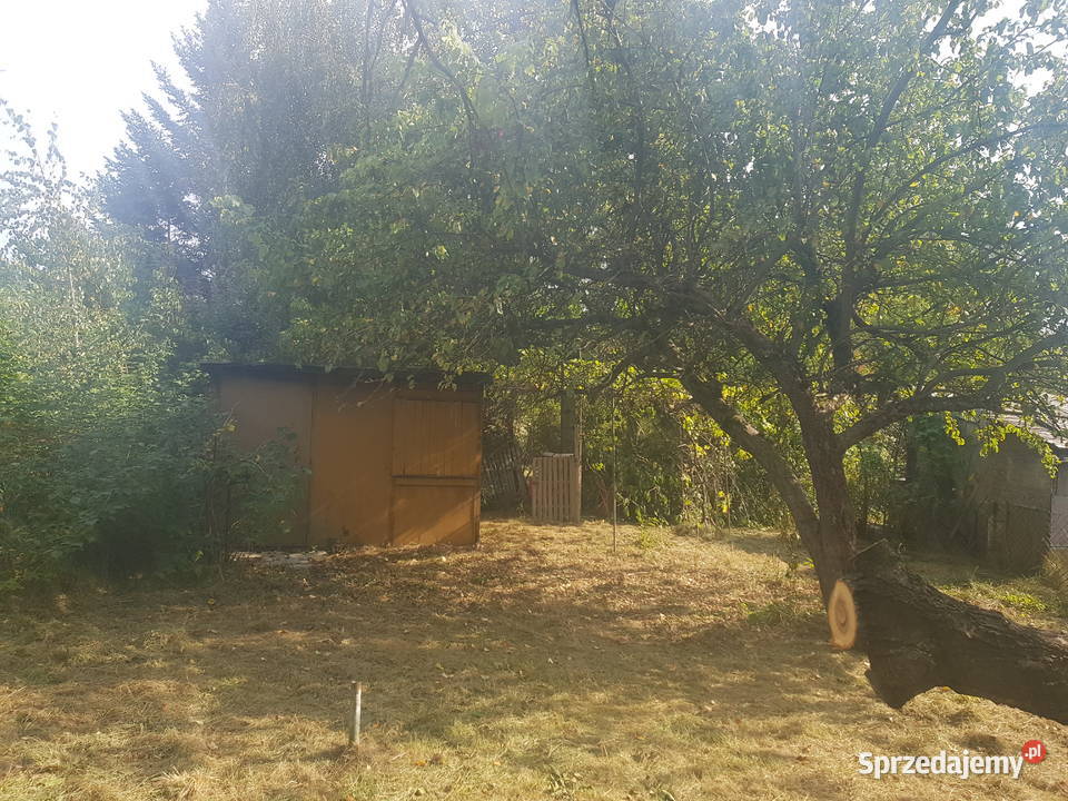 Mega Promocjia do niewielkiej negocjacji Sprzedaż Warszawa sprzedam