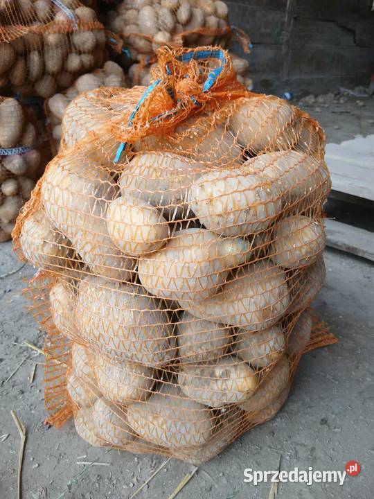 Sprzedam ziemniaki jadalne