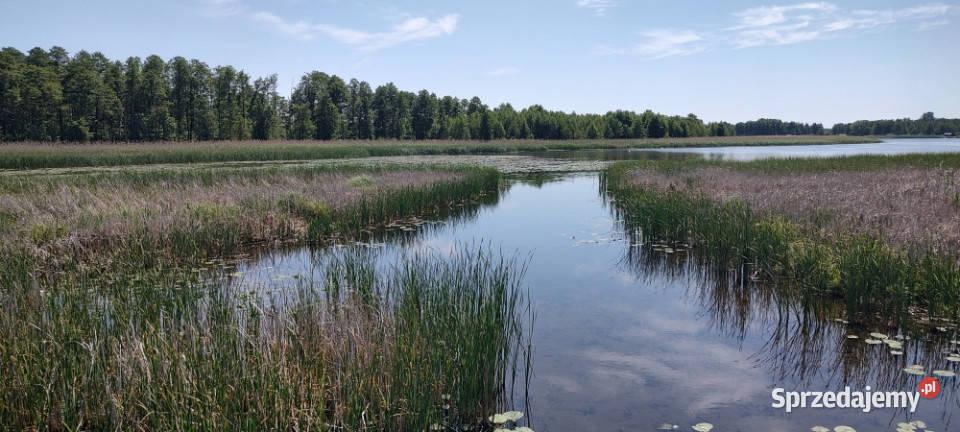 MAZURY Działka jeziorem Roś z dostępem do linii Szczechy Małe