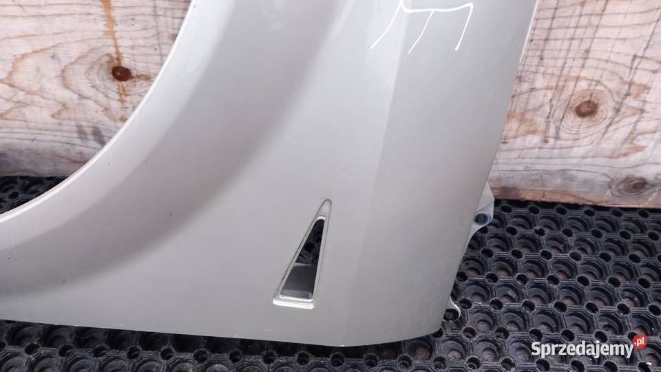 RENAULT SCENIC II BŁOTNIK PRZÓD LEWY TED11 Zbierkowo