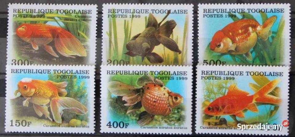Togo ryby Oborniki