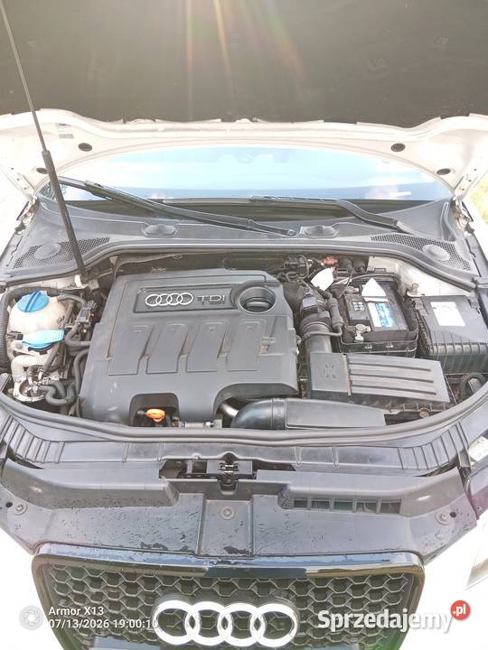 Audi A3 8P 16 TDI 140KM Brzesko