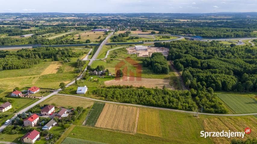 Grunt sprzedam 7000m2 Borek Wielki Króla sprzedam