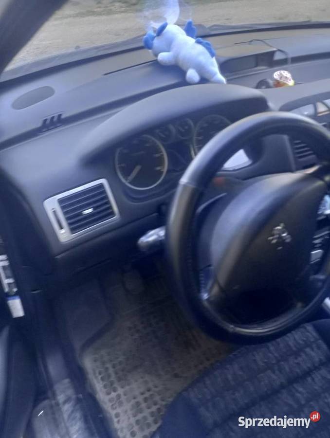 Peugeot 307 HDi 20 Pamiętowo