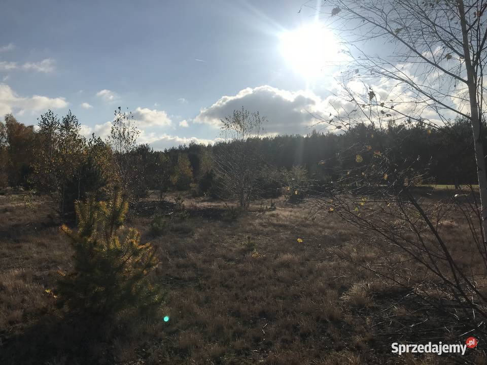 Sprzedam działki budowlane Chinów