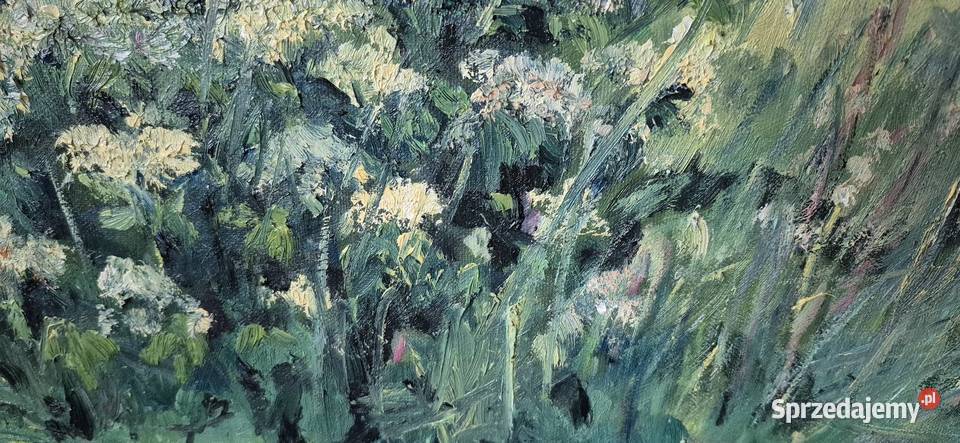 Biały bez i dzika róża wielkopolskie