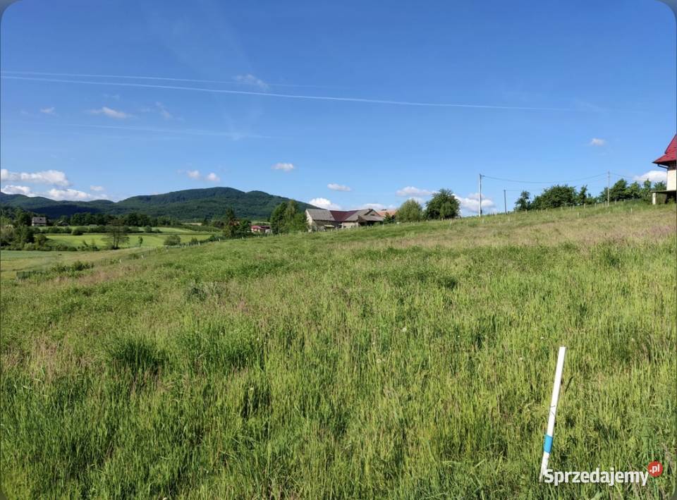 Działka budowlana Dąbie gmina Raciechowice Sprzedaż Sprzedaż