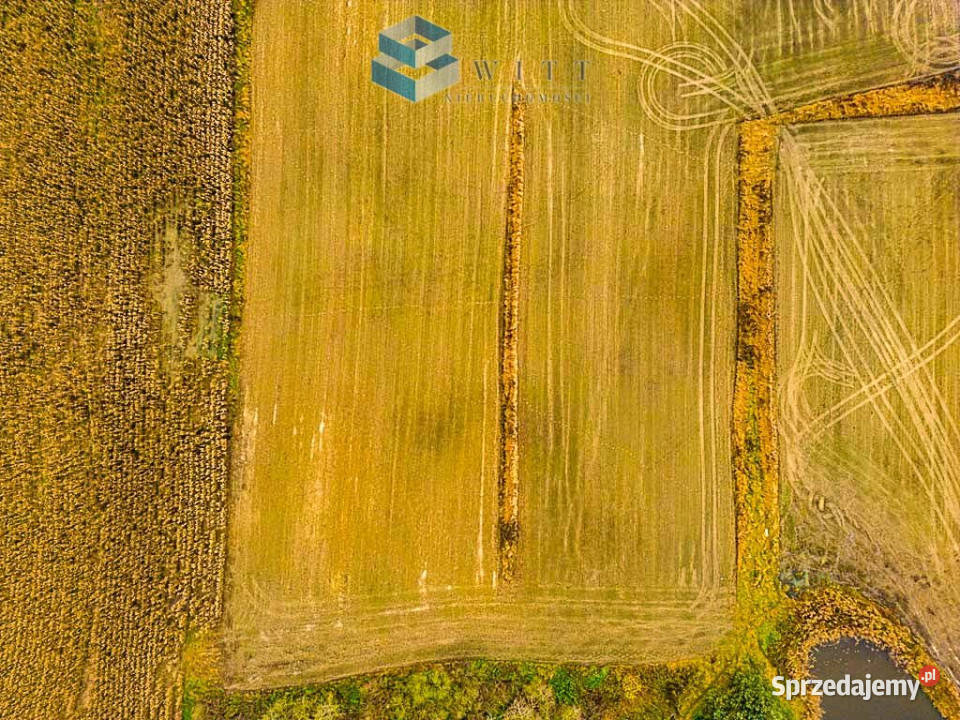 Sprzedam działka Nowa Wieś Koralowa 1200m2 warmińsko-mazurskie