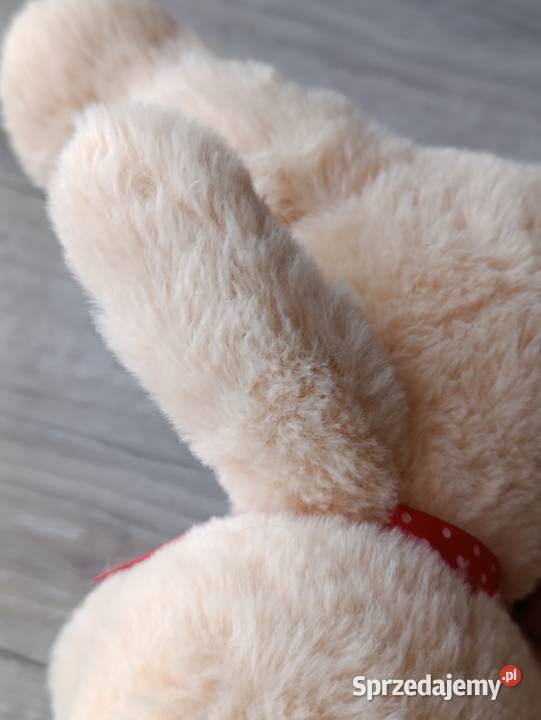 miś pluszak sprzedam Poznań