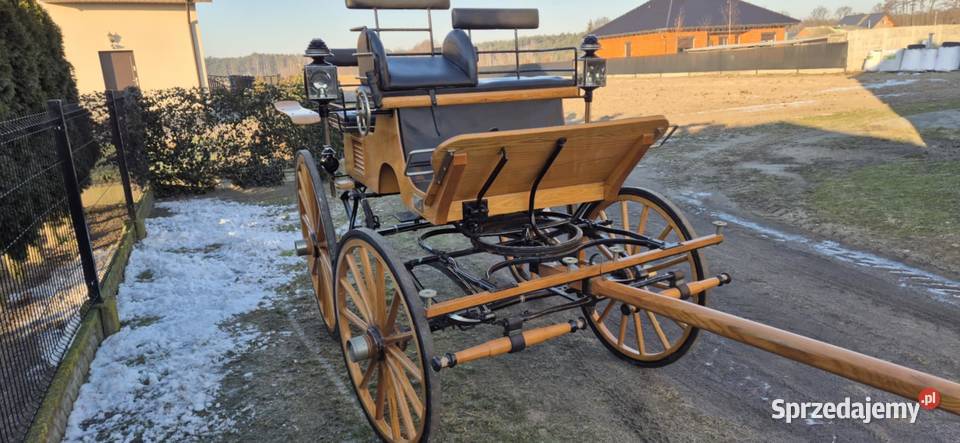 Bryczka konna Konin