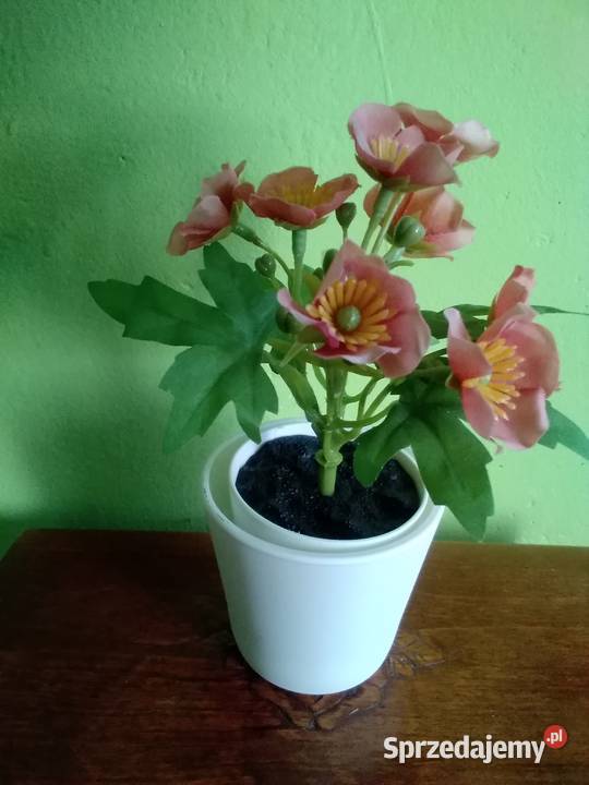 Fejka sztuczna roślina doniczkowa Łódź